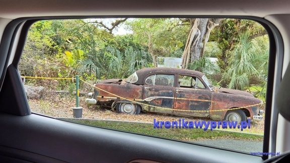 Everglades2025-02-13 016