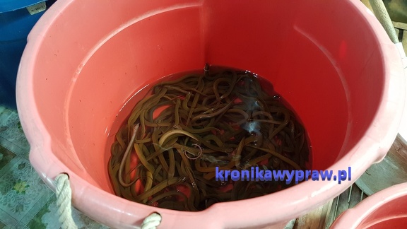 Bangkok Floating Market 003m