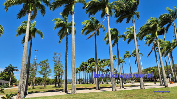 Rio miasto-11-19 542